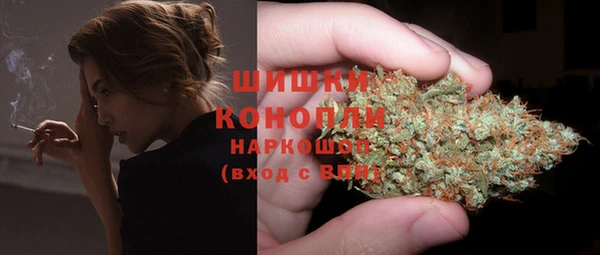 сатива Куйбышев
