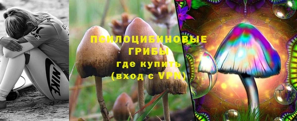 дурь Краснослободск