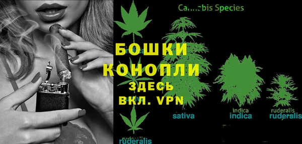 стаф Красноперекопск