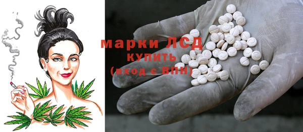 дурь Краснослободск