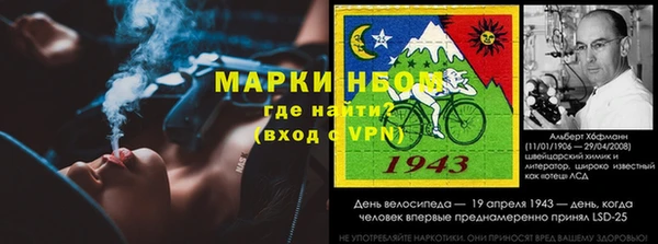дурь Краснослободск
