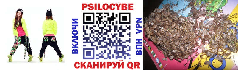 Купить закладки  Балтийск  Галлюциногенные грибы Psilocybine cubensis 